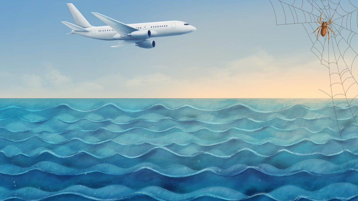 Angoisses et phobies