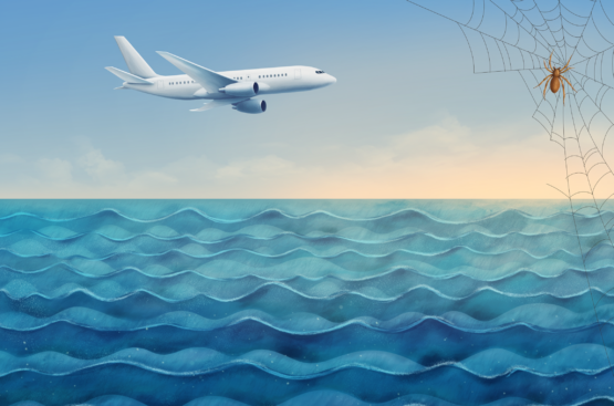 Angoisses et phobies